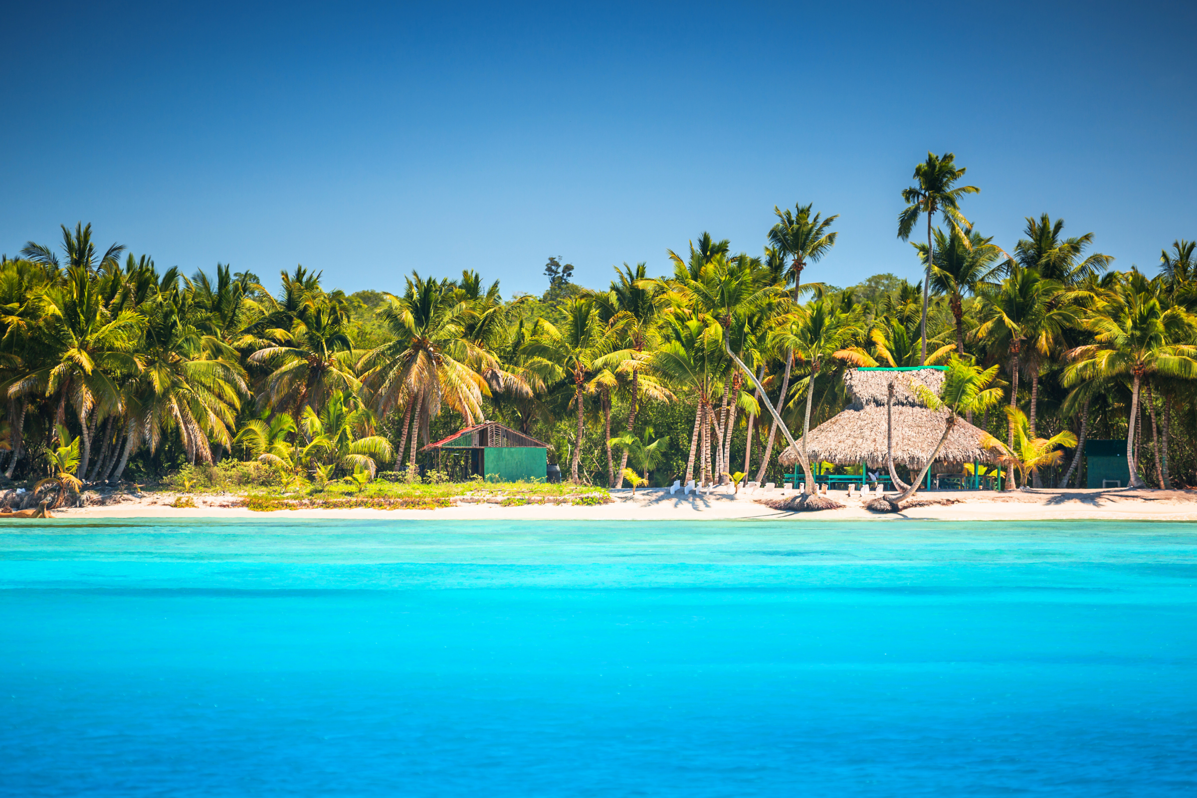 87 punta cana.webp